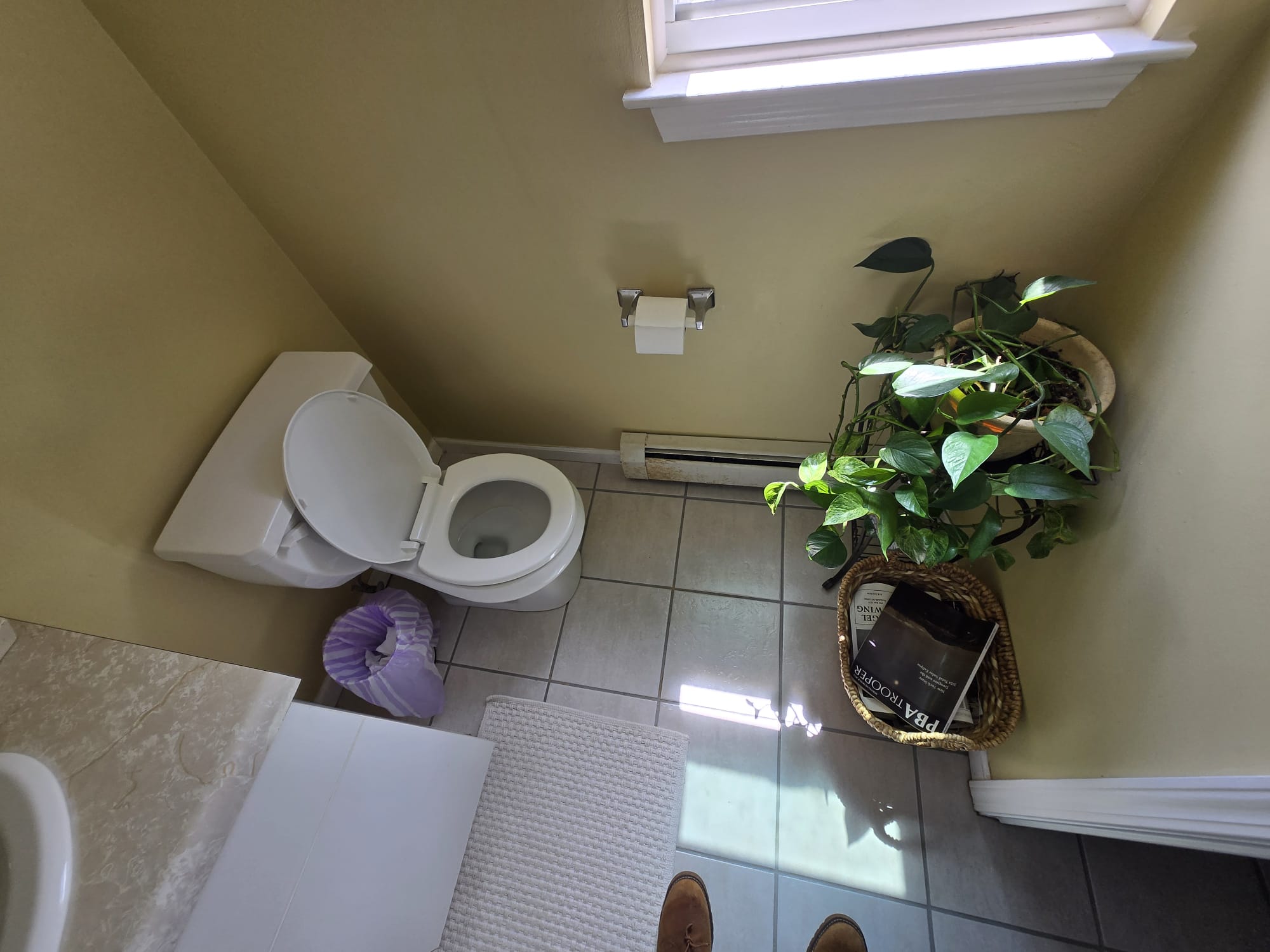 Proyecto de remodelación 451